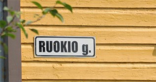 Trūksta prof. vardo - Viktoro Ruokio g.
